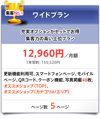 ワイドプラン・・・オプションがセットになったお得プラン：1年契約155,520円