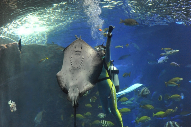 新江ノ島水族館