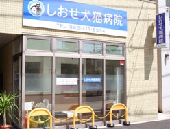 しおせ犬猫病院