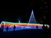 昨年話題の「虹のトンネル」