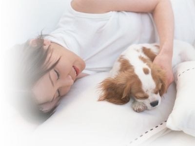 夢眠工房