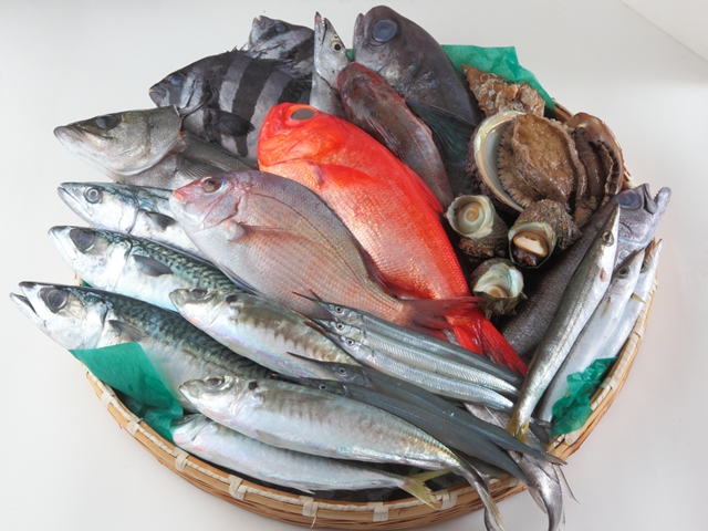 魚のことなら、何でもお気軽にご相談ください。