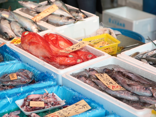 相模湾で獲れた魚介類が所狭しと並んでいます。