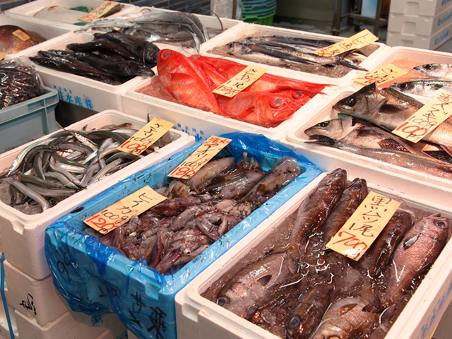 水揚げされたばかりの鮮魚をお届けします。