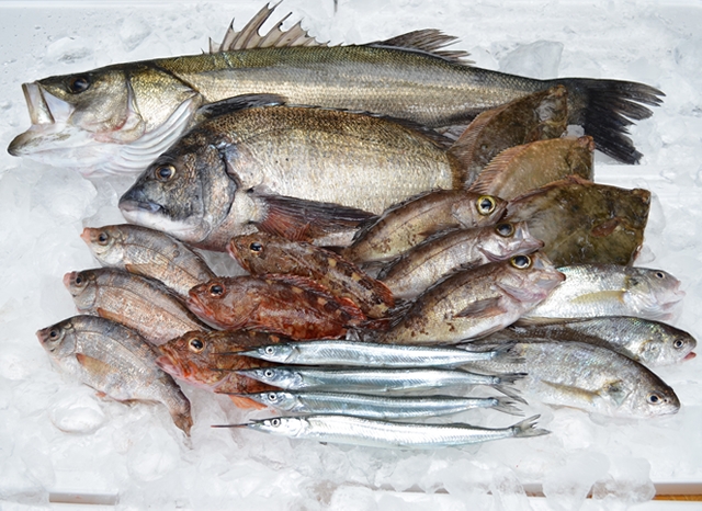 水揚げされたばかりの鮮魚をお届けします。