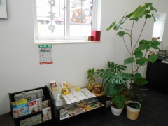 当店の守り神 ウンベラータくんと仲間たち