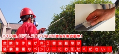 ハチの巣、白アリ、ゴキブリなどの害虫を徹底駆除！
