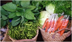 新鮮野菜販売