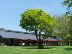 箱根ラリック美術館
