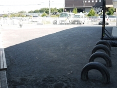 庭園