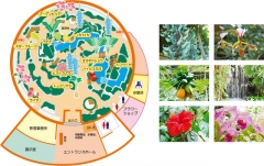 トロピカルドーム温室　>>MAPクリック拡大