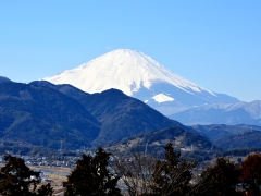 富士山をのぞむロケーションです。