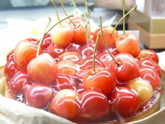 POMO DE AMO
