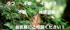 うつ・不安・イライラ・不眠・神経過敏・・・お気軽にご相談ください