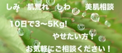 しみ・肌荒れ・しわ等のお肌の悩み・・・ご相談ください