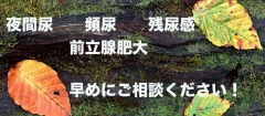 夜間尿・頻尿・残尿感・前立腺肥大・・・お早めにご相談ください