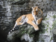 横浜市立野毛山動物園