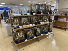 特設展示場