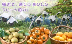 芝口果樹園
