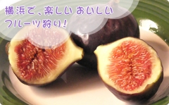 芝口果樹園