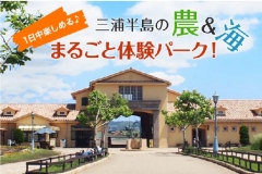 長井海の手公園・ソレイユの丘