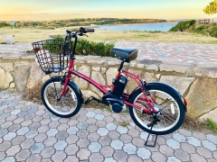 ご不要な【電動自転車】を買い取りいたします！